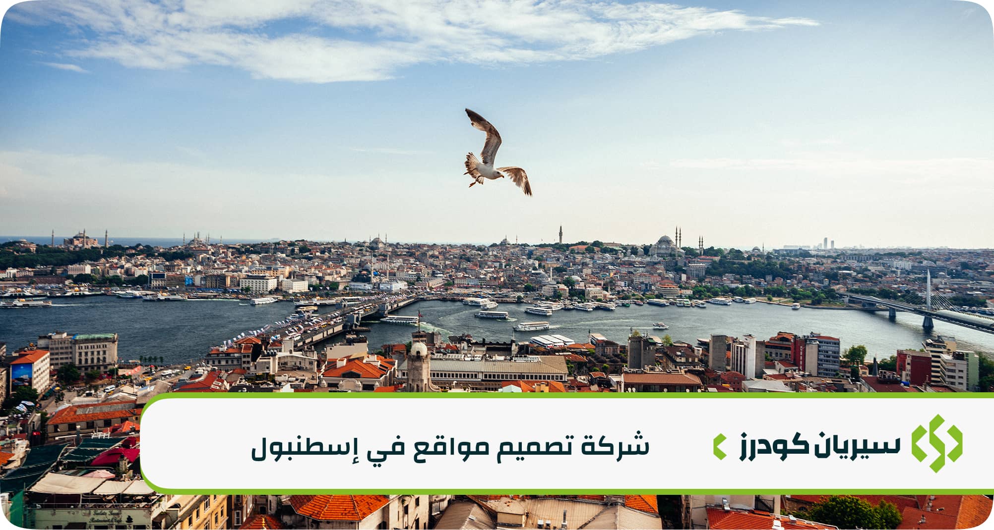 كيف تختــار أفضل شركة تصميم مواقع في إسطنبول؟